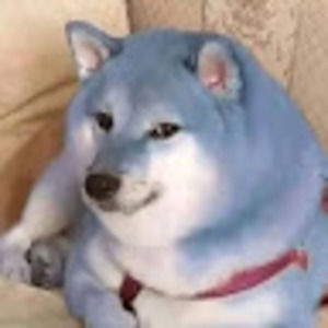 Meet your Posher, I.t